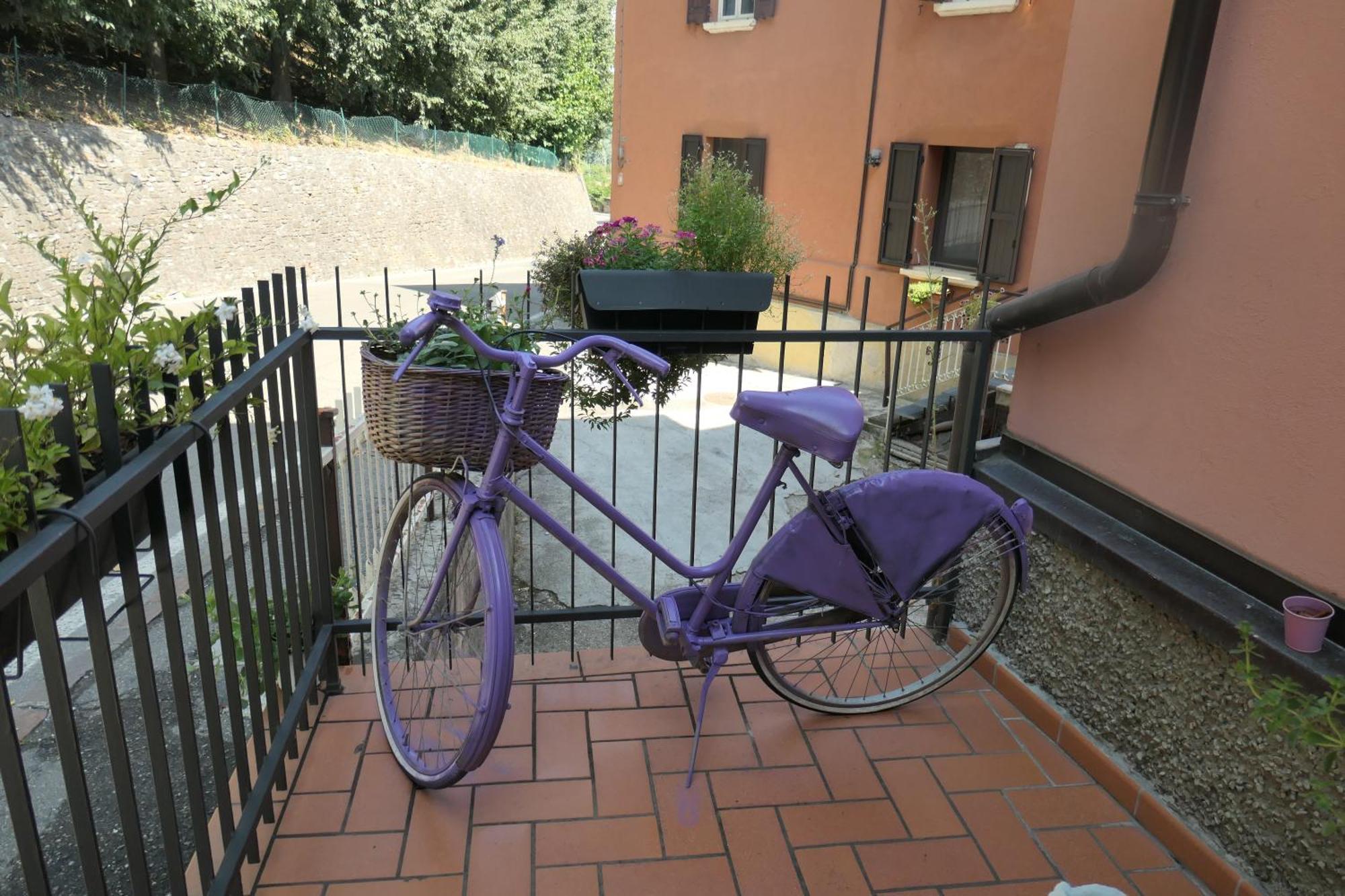 B&B Luna Castelvetro di Modena Eksteriør billede