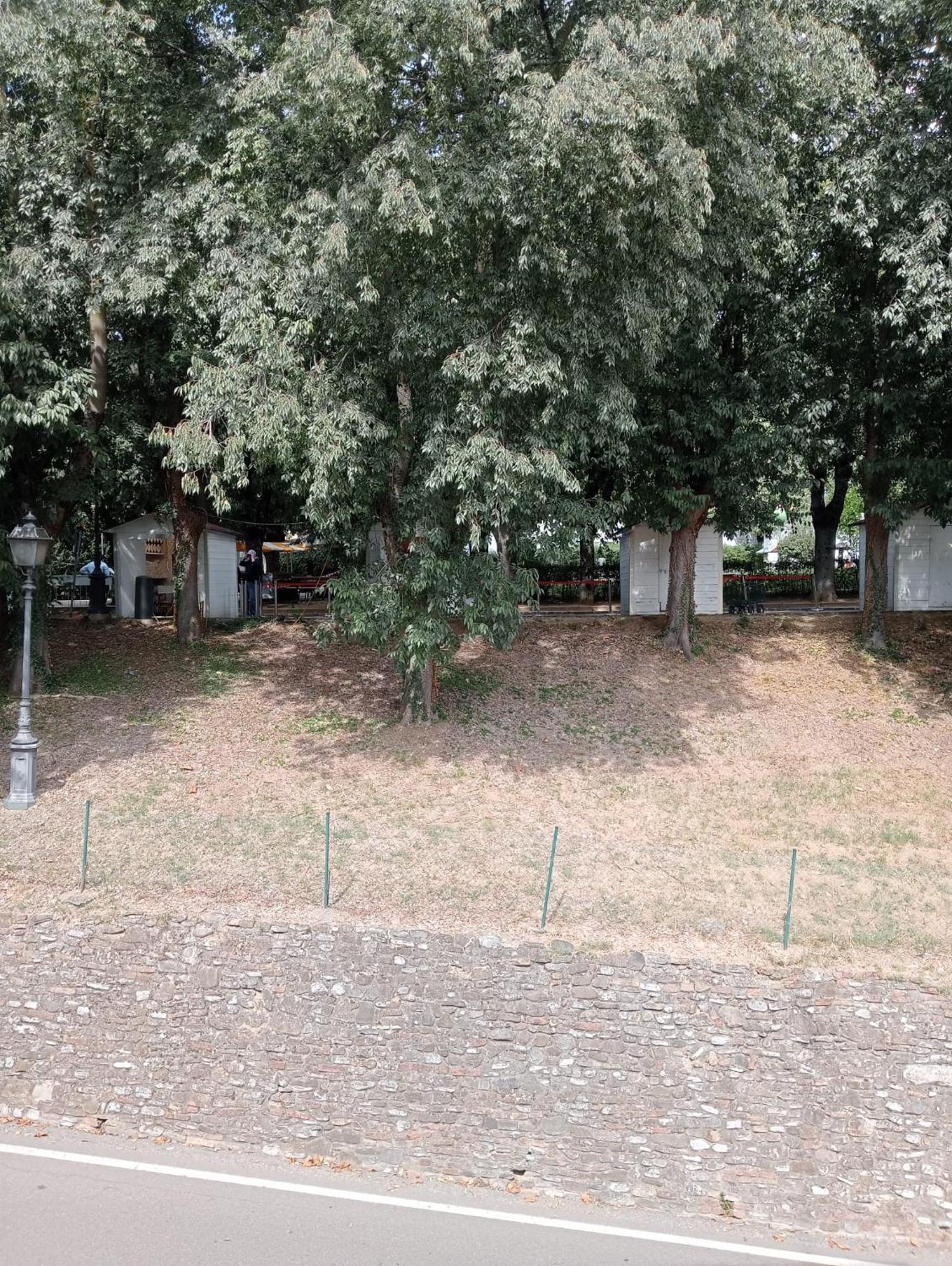 B&B Luna Castelvetro di Modena Eksteriør billede