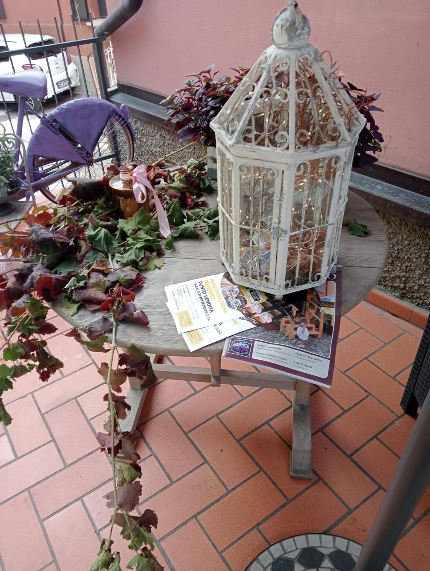 B&B Luna Castelvetro di Modena Eksteriør billede